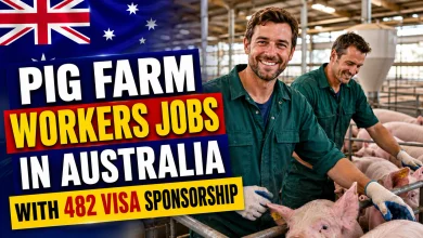 Pig Farm Workers Jobs in Australia with 482 Visa Sponsorship 2026
