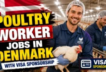 Poultry Worker Jobs in Denmark with Visa Sponsorship 2026
