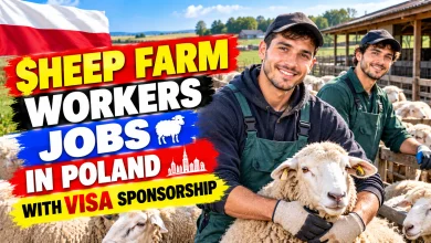 Sheep Farm Workers Jobs in Poland with Visa Sponsorship 2026