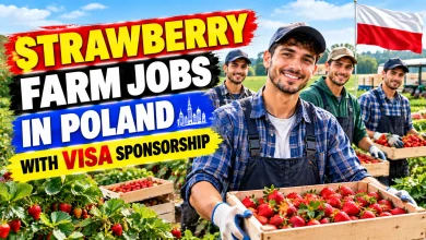 Strawberry Farm Jobs in Poland with Visa Sponsorship 2026