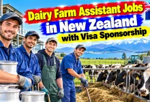 Dairy Farm Assistant Jobs in New Zealand with Visa Sponsorship 2026