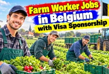 Farm Worker Jobs in Belgium with Visa Sponsorship 2026