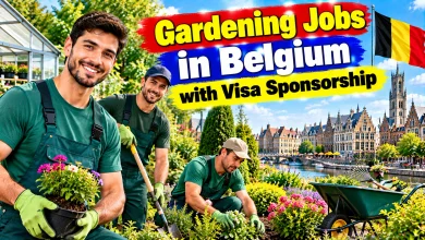 Gardening Jobs in Belgium with Visa Sponsorship 2026