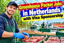 Greenhouse Packer Jobs in Netherlands with Visa Sponsorship 2026