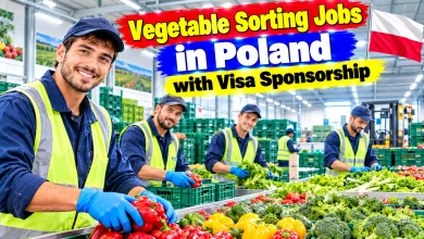 Vegetable Sorting Jobs in Poland with Visa Sponsorship 2026